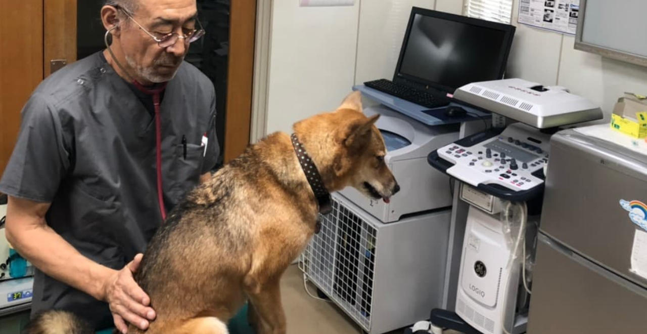 診療案内画像