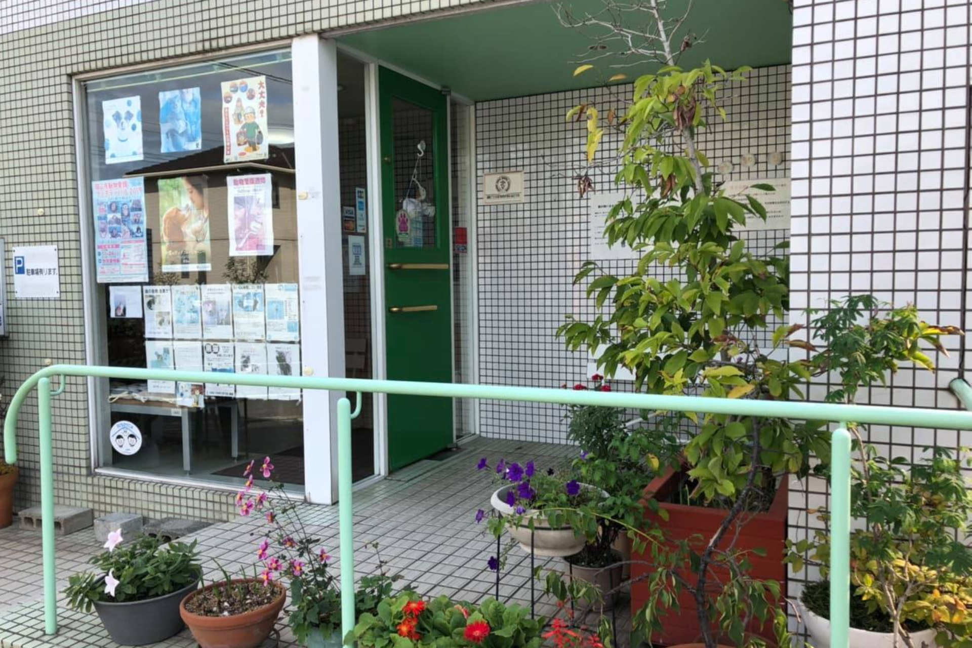 外科診療画像