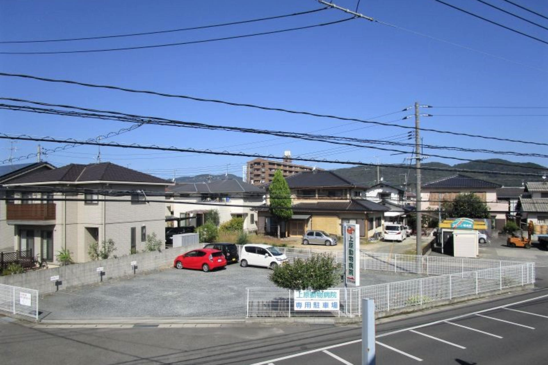 内科診療画像